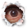 hameleonis