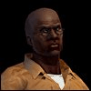 Aaronalava